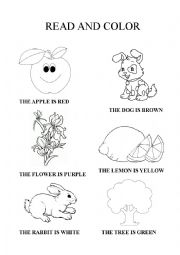 English Worksheet: Read and color