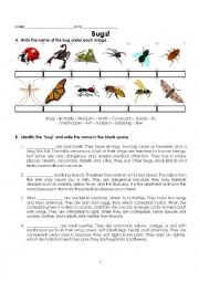 English Worksheet: Bugs! Reading