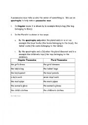 English Worksheet: possessive nouns