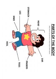 English Worksheet: Parts of the Body