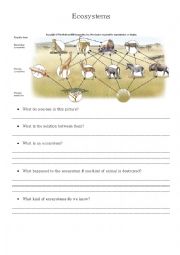 English Worksheet: Ecosystems