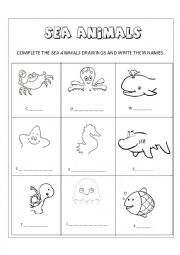 English Worksheet: Sea Animals