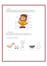 English Worksheet: The body and physical description