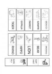 English Worksheet: Jungle Animals