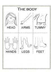 English Worksheet: Body parts