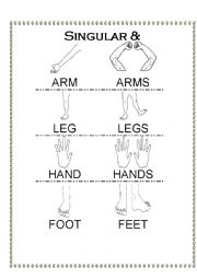 Body parts plural