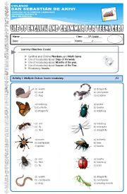 Final Test  5th grade