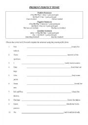 English Worksheet: present perfect worksheet