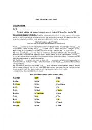 BASIC LEVEL TEST-WORKSHEET