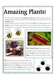 English Worksheet: Plants