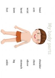 English Worksheet: My Body parts