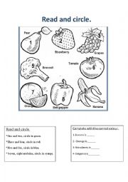 English Worksheet: Read and circle