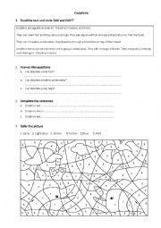 English Worksheet: What can a dolphin do?