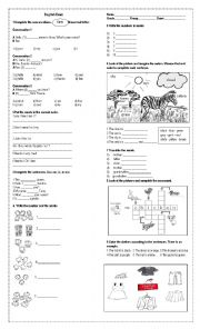 English Worksheet: English Exam for beginners