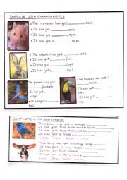 English Worksheet: Pets