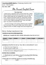 English Worksheet: The Polar Bear