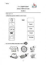 English Worksheet: 5 senses