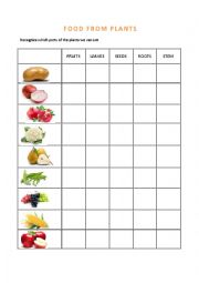 English Worksheet: FOOD FROM PLANTS
