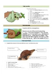 English Worksheet: ANIMALS