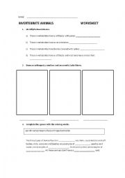 English Worksheet: Invertebrates worksheet