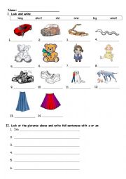 English Worksheet: adjective and nouns