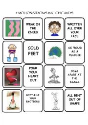Emotions Idioms Match Cards