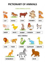 English Worksheet: Animals Pictionary