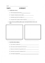 English Worksheet: Worksheet Plants