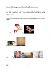 Human body worksheet