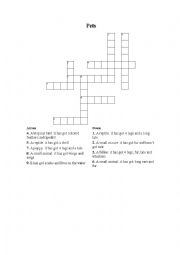English Worksheet: Pets