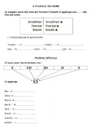 English Worksheet: plurale dei nomi