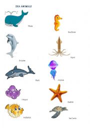 Sea Animals