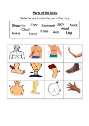 English Worksheet: Match Body Parts