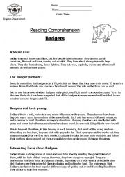 English Worksheet: Reading Comprehension Non-Chronological Report (Badgers) 