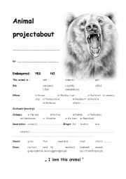 English Worksheet: Bear Project