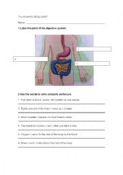 English Worksheet: body parts