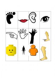 English Worksheet: Body Parts