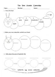 English Worksheet: The very hungry caterpillar