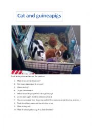 English Worksheet: The cat and the guinea pigs