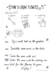 English Worksheet: How to grow flowers 1