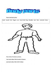English Worksheet: body parts