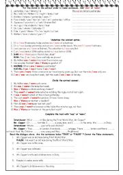 English Worksheet: Past Form of TO BE  -Part 2-