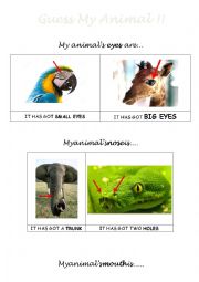 English Worksheet: Guess the animal (saying the body parts)