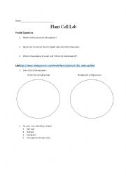 English Worksheet: Plant Cell Lab
