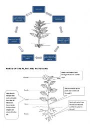 English Worksheet: the plans