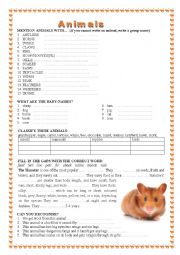 English Worksheet: animals