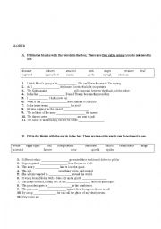 English Worksheet: VOCABULARY STUDY