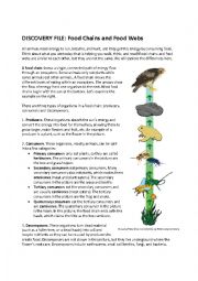 English Worksheet: Food Chains and Webs