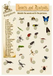 English Worksheet: Animal Kingdom - Insects (2)