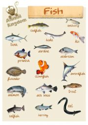 English Worksheet: Animal Kingdom - Fish